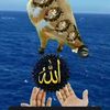 user1874261570416