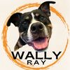 wallyraythebully8