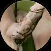 ntrung17