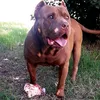 huguito.r7