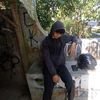 jipp_sall