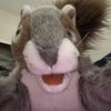 squeaks.the.singi