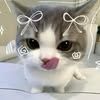 naly.taa