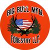 big.bull.mtn..for