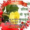 megh.bahadur.blon