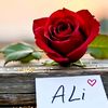 muhmmad.asghar44