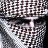 المصمم حيدر
