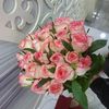 fidoo_73