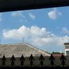 ano_malii_45