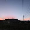 kyy_0593