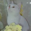 al_barzanje