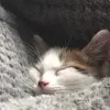 elizaforlife3