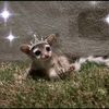 im_queen_yasss