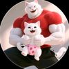 catstxmlsks5