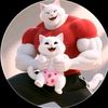 catstbztah06