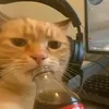 kuyaclarks_playz243