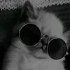 _mohamed744