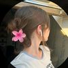 aya.ff496