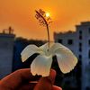 .sadia.islam.free