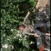 user18260330956838