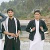 zeeshanafghani7