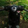 beatday7
