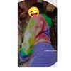 chapa8486