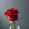 abo.noor71