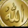 user5231795922498