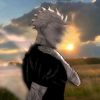 _gozaf