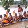 komeng_295