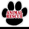 Animal Rescue