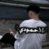 mhamid4101