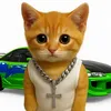 kittyforsazh