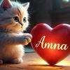 user306142110