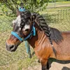 ponykarl