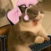 zoey45649