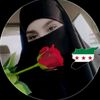 user85846133481885