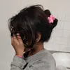 anayahussei