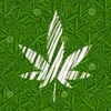 user4780090046974