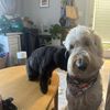 winnieandgreebie