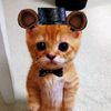 freddy5bearthe