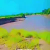 khadar.mohammed739