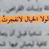 saramohammed593