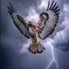 StormBreaker