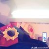aneliz67649