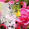 jadedge_music