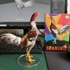 brangko.fram