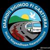 nifelimmuu5g