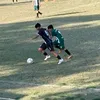 leonardo.martinez5444